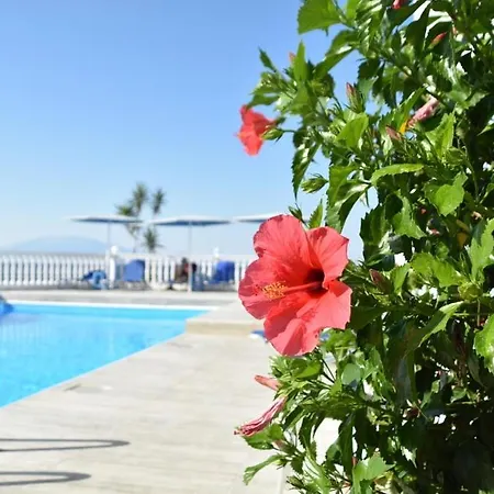 Lejlighedshotel Clear Horizon 2*
